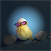 Cool Chicken