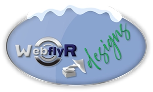 Webflyr designs